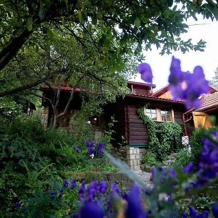 Guest house 