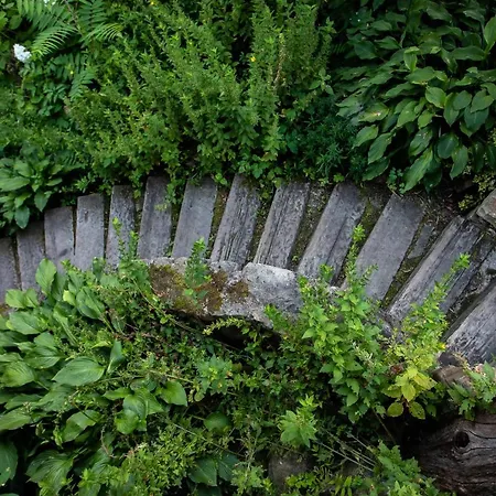 Гостевой дом 333