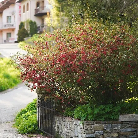 Гостевой дом 333